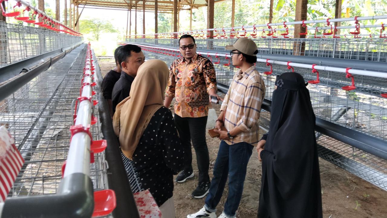 Kabid Pemberdayaan DPMD Sulteng Tinjau Lokasi Usaha Ternak Ayam Petelur dan Penggilingan Jagung di Desa Jono Oge