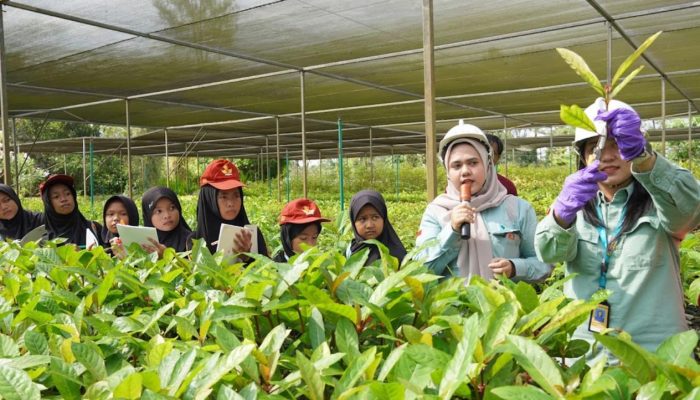 PT Vale Ajak Siswa SDN 279 Rante Angin Belajar Kelola Lingkungan di Taman Kehati Sawerigading Wallacea