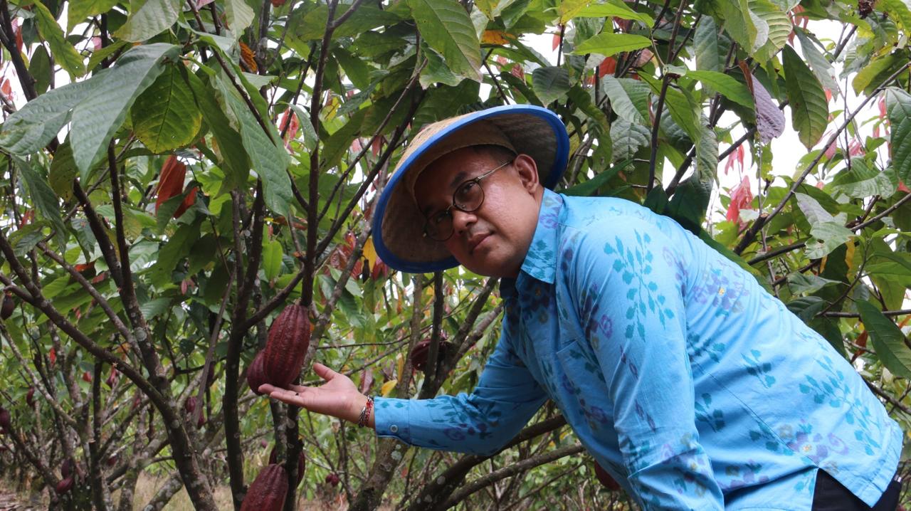 Ekspor Perdana Kakao Fermentasi Poso ke Prancis, OJK Sulteng Sebut Penggerak Ekonomi Lokal Menuju Level Global