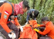 Tim SAR Gabungan Evakuasi Jasad Pria Paruh Baya di Gunung Gawalise