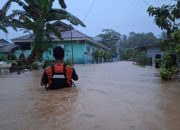 Banjir Rendam Kelurahan Tuweley Tolitoli, Tim SAR Evakuasi Korban