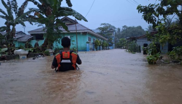 Banjir Rendam Kelurahan Tuweley Tolitoli, Tim SAR Evakuasi Korban