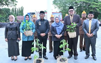 Upacara Hari Pahlawan ke-80 di Sulteng Berlangsung Khidmat, Anwar Hafid Ajak Warga Teruskan Semangat Perjuangan