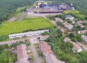 Kontribusi Pajak Terus Meningkat, Peran Strategis PT Kurnia Luwuk Sejati Dongkrak Pertumbuhan Ekonomi