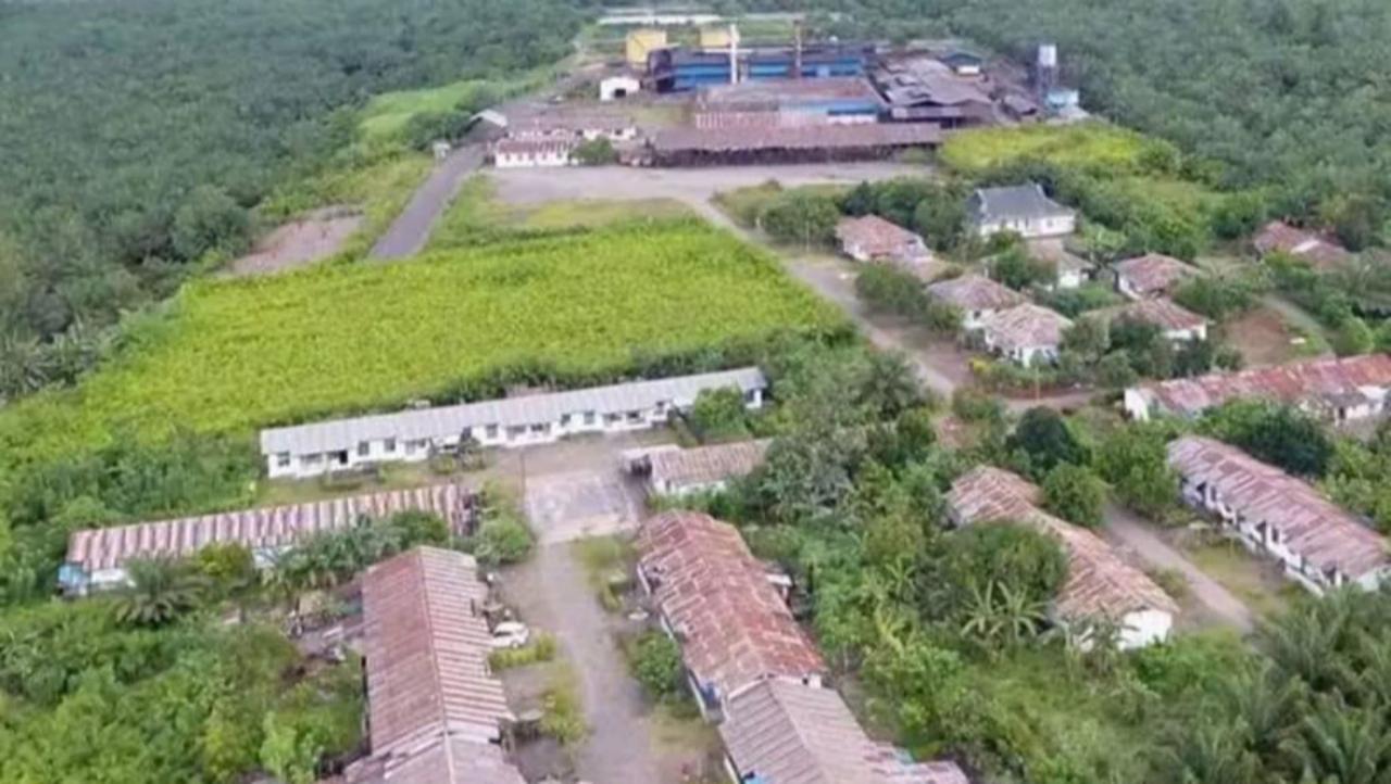 Kontribusi Pajak Terus Meningkat, Peran Strategis PT Kurnia Luwuk Sejati Dongkrak Pertumbuhan Ekonomi