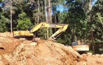 Aktivitas Tambang Ilegal Mulai Masif di Cabang Kiri Taopa Utara, Format Pertanyakan Kinerja Gakkumhut-Dishut Sulteng