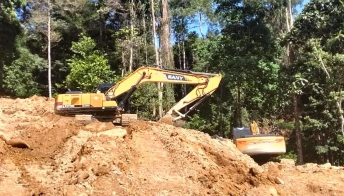 Aktivitas Tambang Ilegal Mulai Masif di Cabang Kiri Taopa Utara, Format Pertanyakan Kinerja Gakkumhut-Dishut Sulteng
