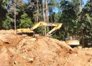 Respons Format soal Gakkumhut-Dishut Sulteng Gagal Tangkap Cukong Tambang Ilegal di Gio Barat Parimo: Semacam Akal-akalan