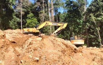 Respons Format soal Gakkumhut-Dishut Sulteng Gagal Tangkap Cukong Tambang Ilegal di Gio Barat Parimo: Semacam Akal-akalan