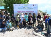 Gandeng Generasi Muda, PT IMIP Tanam 10 Ribu Mangrove di Teluk Palu