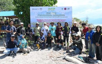 Gandeng Generasi Muda, PT IMIP Tanam 10 Ribu Mangrove di Teluk Palu