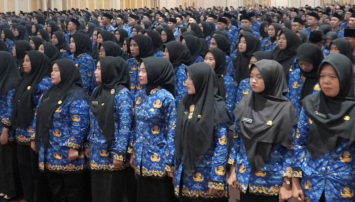 Honorer Sulteng Segera Terima SK PPPK Paruh Waktu, BKD Singgung soal Gaji