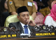 Ribuan Tenaga Honorer Palu Tak Diusulkan PPPK Paruh Waktu, Ketua Fraksi NasDem Sebut Kelalaian Berdampak Fatal