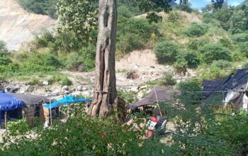 Kawasan Tambang Ilegal Poboya Kembali Menelan Korban, Satu Pekerja Asal Sulut Tewas Tertimbun Longsor