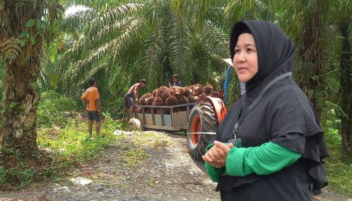 PT KLS Klaim Operasional Sesuai Koridor Hukum, Bantah Serobot Lahan Warga Morut