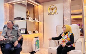 Wabup Morowali Iriane Iliyas Perkuat Sinergi dengan DPR RI, Bahas Percepatan Pembangunan Daerah