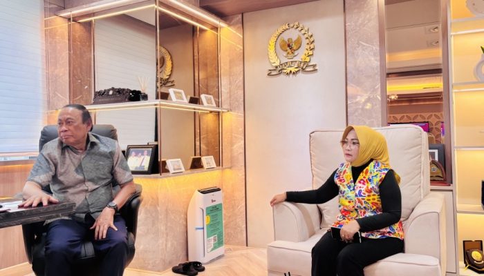 Wabup Morowali Iriane Iliyas Perkuat Sinergi dengan DPR RI, Bahas Percepatan Pembangunan Daerah