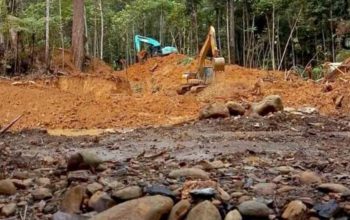 Polda Sulteng Bantah Helmi Kwarta Beking Tambang Ilegal di Parigi Moutong