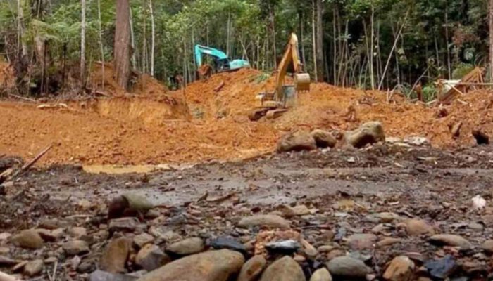 Polda Sulteng Bantah Helmi Kwarta Beking Tambang Ilegal di Parigi Moutong