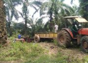 PT Kurnia Luwuk Sejati: Soal Lahan Sawit Morowali Utara Masih Klarifikasi Administrasi, Bukan Pelanggaran