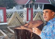 Gubernur Anwar Hafid Marah Pohon Depan Rujab Ditebang: Tolong Cari Pelakunya, Tidak Bisa di Tolerir