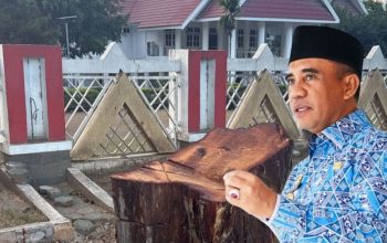 Gubernur Anwar Hafid Marah Pohon Depan Rujab Ditebang: Tolong Cari Pelakunya, Tidak Bisa di Tolerir