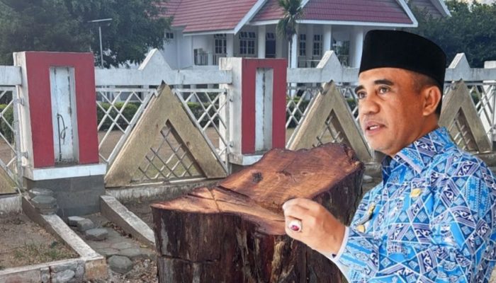 Gubernur Anwar Hafid Marah Pohon Depan Rujab Ditebang: Tolong Cari Pelakunya, Tidak Bisa di Tolerir