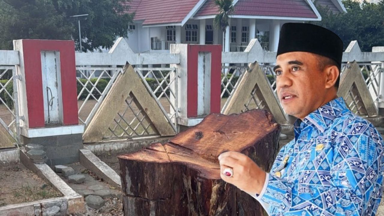 Gubernur Anwar Hafid Marah Pohon Depan Rujab Ditebang: Tolong Cari Pelakunya, Tidak Bisa di Tolerir