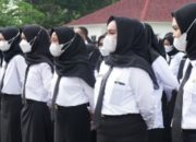 BKD Sulteng Lakukan Pendataan bagi Tenaga Honorer yang Tak lulus Seleksi CPNS, Bisa Diangkat Jadi PPPK Paruh Waktu?