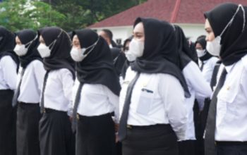 BKD Sulteng Lakukan Pendataan bagi Tenaga Honorer yang Tak lulus Seleksi CPNS, Bisa Diangkat Jadi PPPK Paruh Waktu?