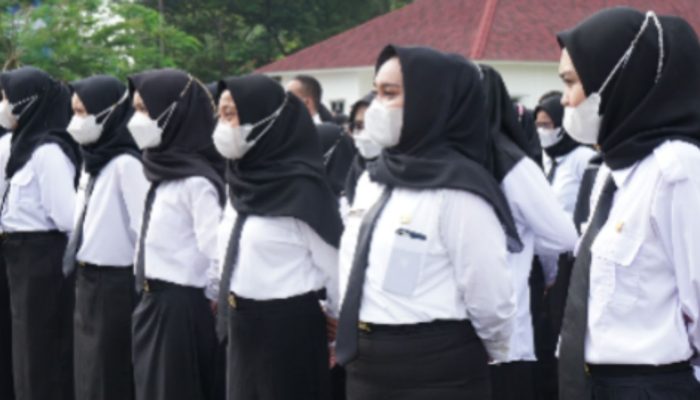 BKD Sulteng Lakukan Pendataan bagi Tenaga Honorer yang Tak lulus Seleksi CPNS, Bisa Diangkat Jadi PPPK Paruh Waktu?