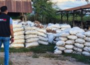 Tambang Ilegal Desa Karya Mandiri Kembali Beroperasi Sehari Pasca Ditertibkan, Diduga Ada Keterlibatan Oknum Kades