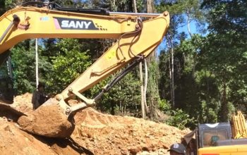 Aktivis Lingkungan Desak Gubernur Anwar Hafid Bertindak atas Maraknya PETI di Parigi Moutong