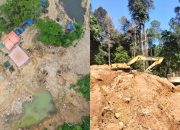 Format Menilai Operasi Gakkumhut-Dishut Sulteng Tak Menyisir Titik Rawan, Diduga Berpindah ke Taopa Utara