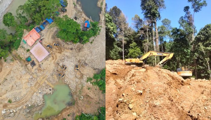 Format Menilai Operasi Gakkumhut-Dishut Sulteng Tak Menyisir Titik Rawan, Diduga Berpindah ke Taopa Utara