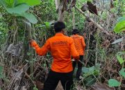 Tim SAR Gabungan Ungkap Kendala Pencarian Lansia yang Hilang di Perkebunan Desa Pisou Banggai