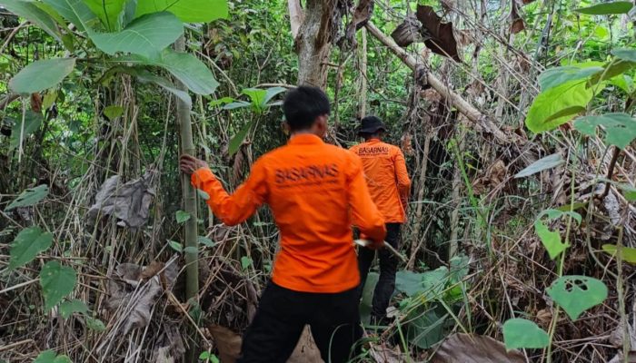 Tim SAR Gabungan Ungkap Kendala Pencarian Lansia yang Hilang di Perkebunan Desa Pisou Banggai