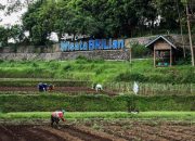 BRI Perkuat Ekonomi Desa Lewat Program Desa BRILiaN, Jangkau 5.000 Desa hingga 2025