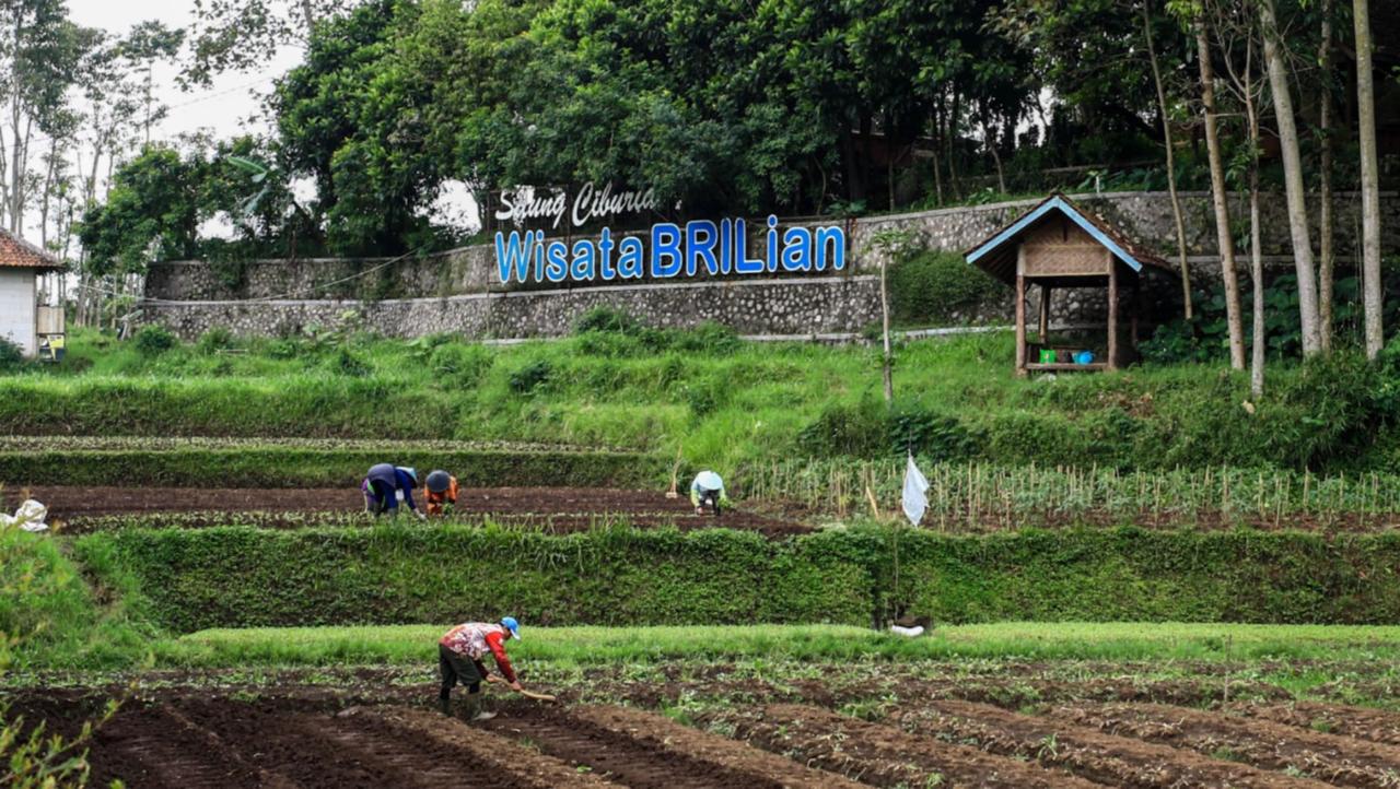 BRI Perkuat Ekonomi Desa Lewat Program Desa BRILiaN, Jangkau 5.000 Desa hingga 2025