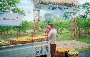 BRI Meraih Penghargaan di Puncak Hari Desa Nasional 2026