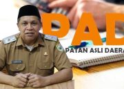 Target PAD Morowali 2026 Naik Jadi Rp1,2 Triliun
