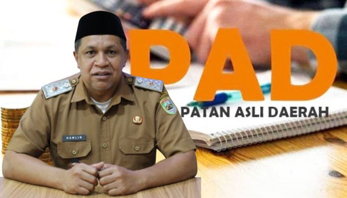 Target PAD Morowali 2026 Naik Jadi Rp1,2 Triliun