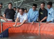 Anwar Hafid Mantapkan Program Berani Tangkap Banyak, Dorong Budidaya Ikan Air Tawar Jadi Penggerak Ekonomi Baru Masyarakat