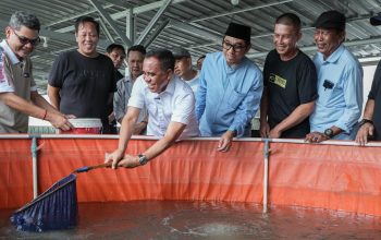 Anwar Hafid Mantapkan Program Berani Tangkap Banyak, Dorong Budidaya Ikan Air Tawar Jadi Penggerak Ekonomi Baru Masyarakat