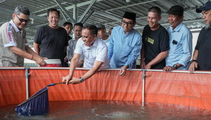 Anwar Hafid Mantapkan Program Berani Tangkap Banyak, Dorong Budidaya Ikan Air Tawar Jadi Penggerak Ekonomi Baru Masyarakat