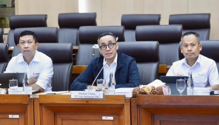 RDP bersama Komisi XII DPR RI, PT Vale Pastikan Operasional Patuh Regulasi dan Fokus Hilirisasi