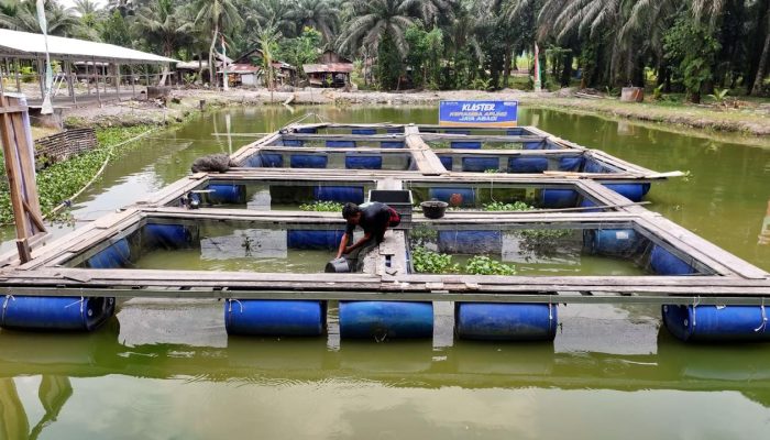 Desa Empang Baru Siak Tumbuhkan Ekonomi Berbasis UMKM dan Perikanan, Didukung Program Desa BRILiaN