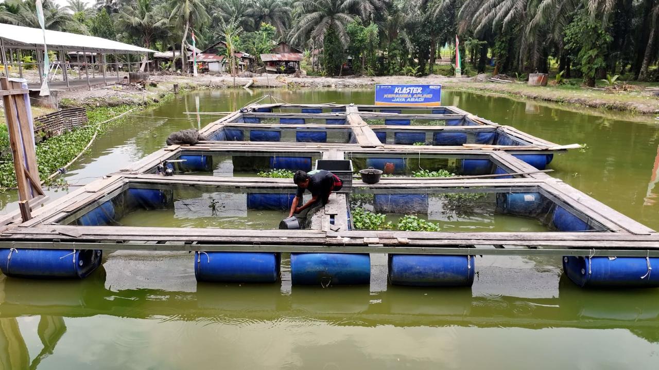 Desa Empang Baru Siak Tumbuhkan Ekonomi Berbasis UMKM dan Perikanan, Didukung Program Desa BRILiaN