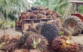 PT Kurnia Luwuk Sejati Tegaskan Fungsi Aparat Sebatas Pengamanan Aset