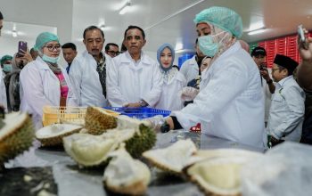Resmikan Packing House Durian Parimo, Anwar Hafid Minta Dinas Terkait Susun Langkah Tingkatkan Hasil Panen